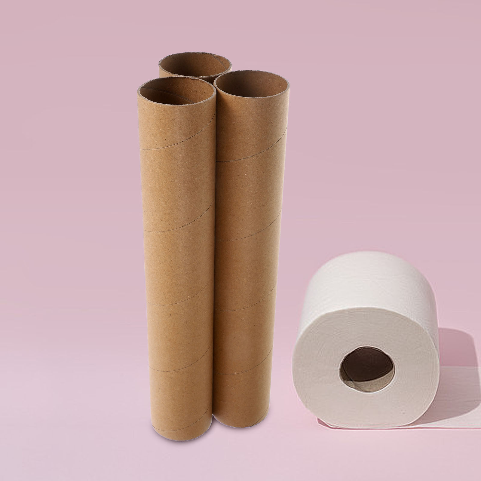 Art Craft Education - 3Pcs Blank Paper Tube DIY Craft